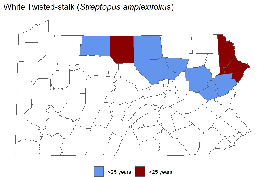 Twisted-stalk"